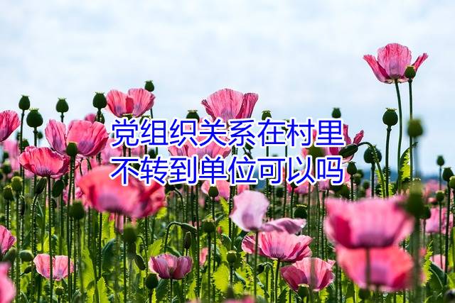 党组织关系在村里，不转到单位可以吗