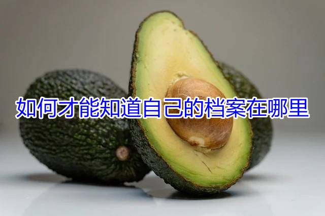 如何才能知道自己的档案在哪里