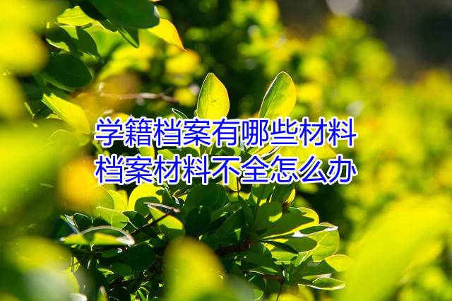学籍档案有哪些材料，档案材料不全怎么办