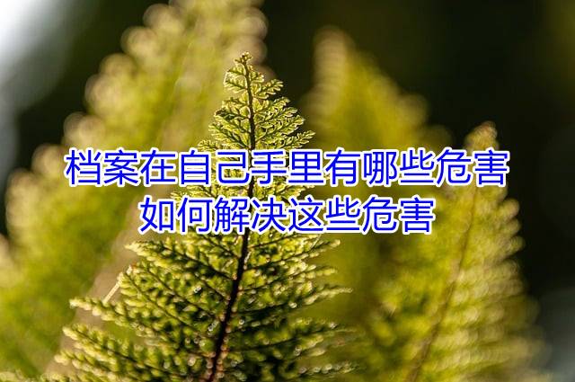 档案在自己手里有哪些危害，如何解决这些危害