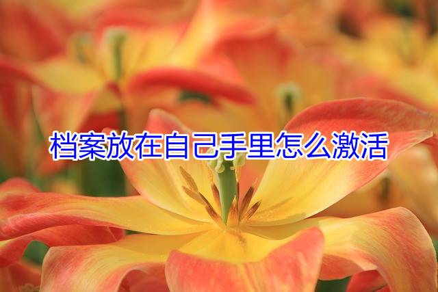 档案放在自己手里怎么激活