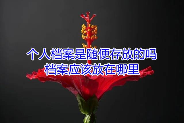 个人档案是随便存放的吗，档案应该放在哪里