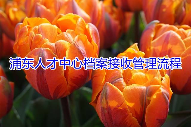 浦东人才中心档案接收管理流程