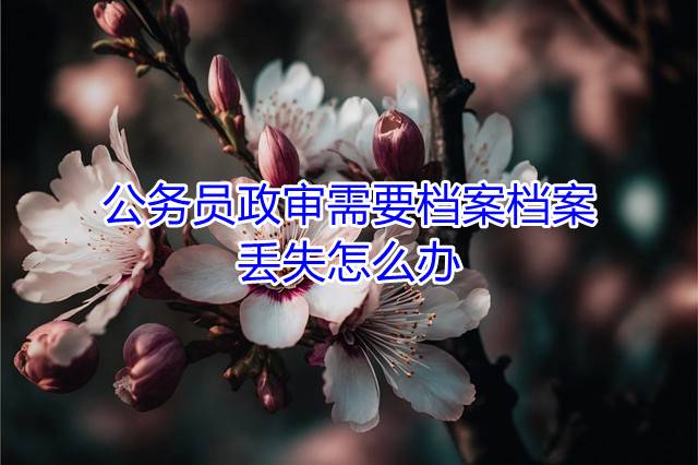 公务员政审需要档案档案，丢失怎么办