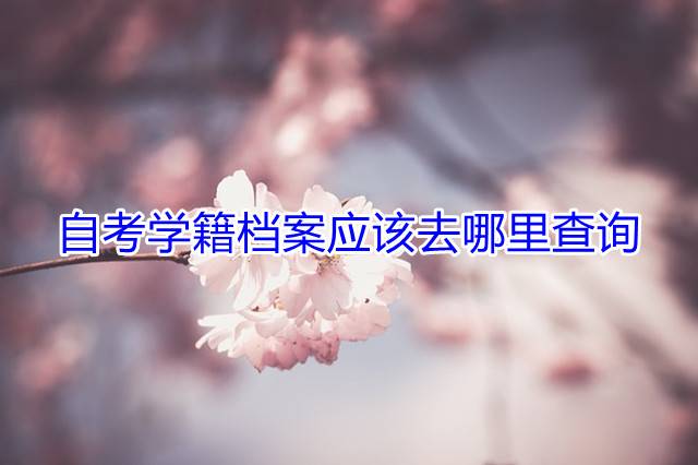 自考学籍档案应该去哪里查询