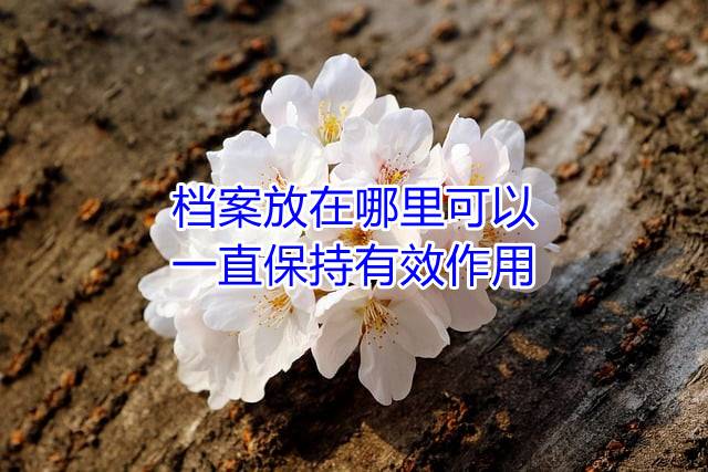 档案放在哪里可以一直保持有效作用