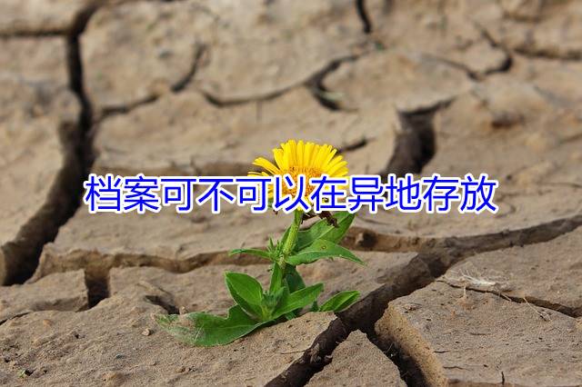 档案可不可以在异地存放