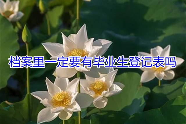档案里一定要有毕业生登记表吗