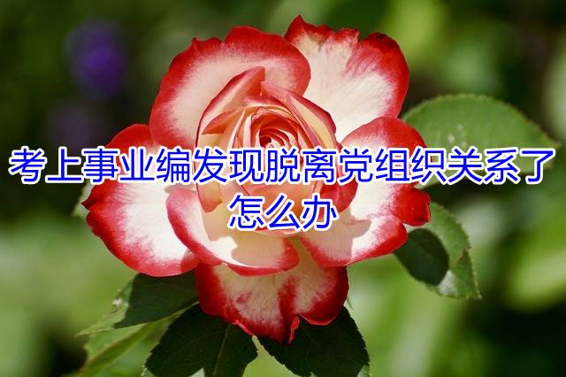 考上事业编发现脱离党组织关系了怎么办