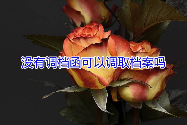 没有调档函可以调取档案吗