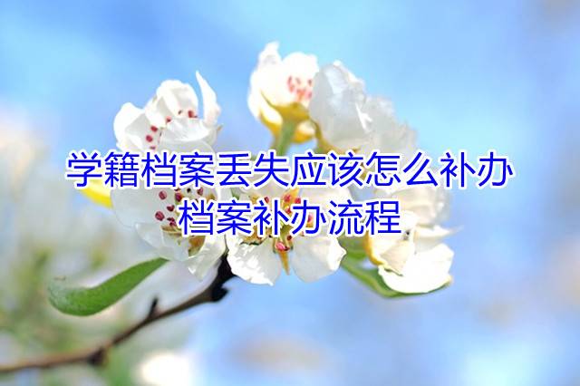 学籍档案丢失应该怎么补办，档案补办流程