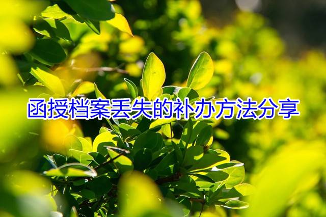 函授档案丢失的补办方法分享