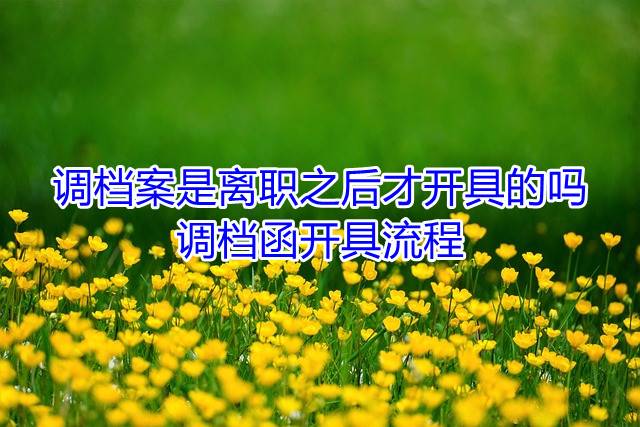 调档案是离职之后才开具的吗，调档函开具流程