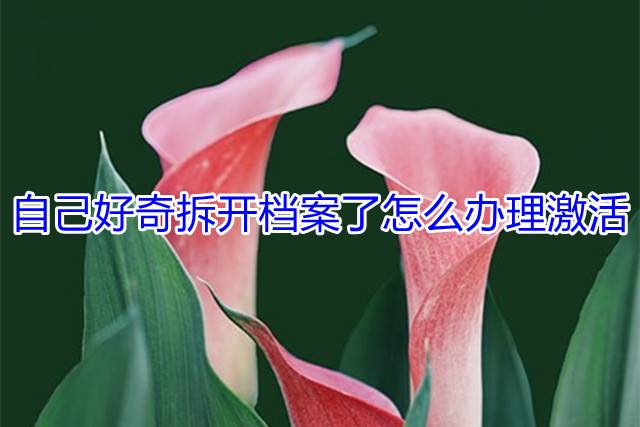 自己好奇拆开档案了怎么办理激活