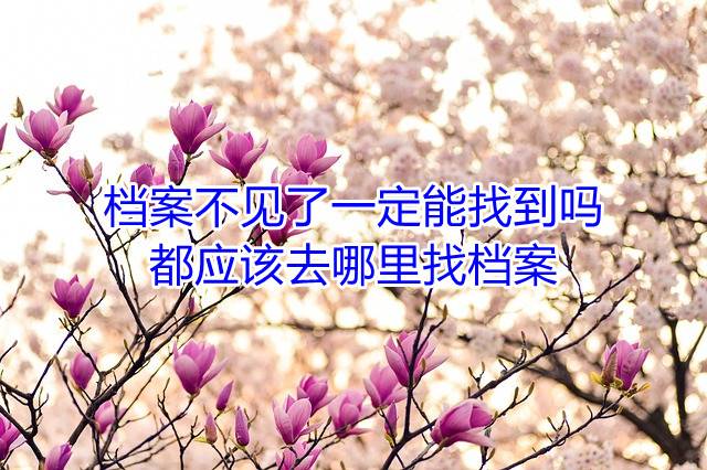 档案不见了一定能找到吗，都应该去哪里找档案