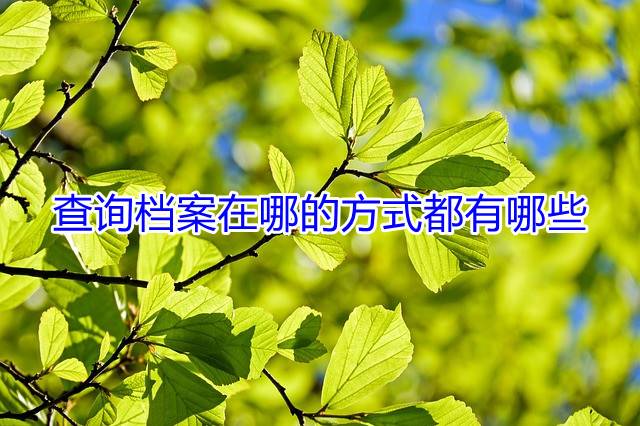 查询档案在哪的方式都有哪些