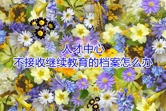 人才中心不接收继续教育的档案怎么办