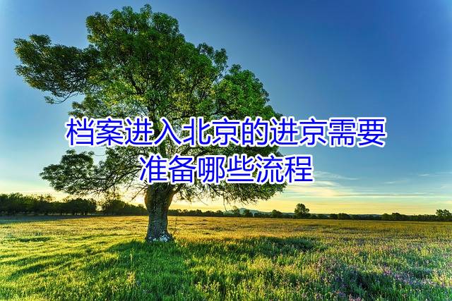 档案进入北京的进京需要准备哪些流程