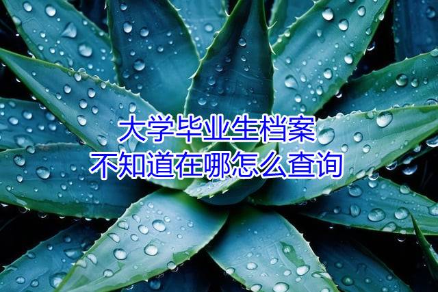 大学毕业生档案不知道在哪怎么查询