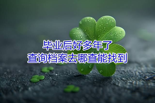 毕业后好多年了查询档案去哪查能找到