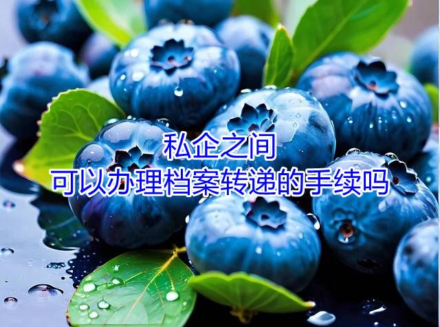 私企之间可以办理档案转递的手续吗