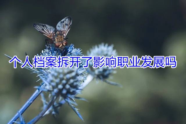 个人档案拆开了影响职业发展吗