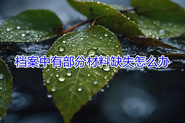 档案中有部分材料缺失怎么办