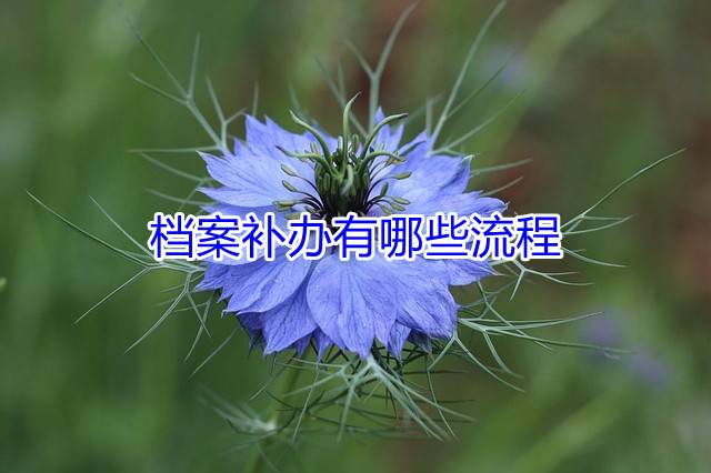档案补办有哪些流程