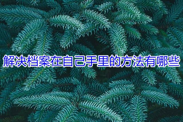 解决档案在自己手里的方法有哪些