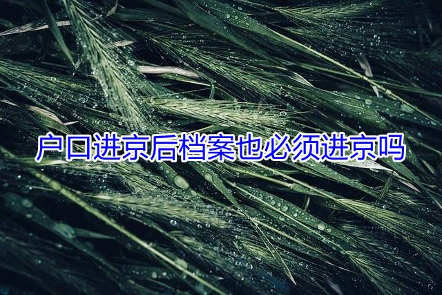 户口进京后档案也必须进京吗