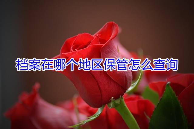 档案在哪个地区保管怎么查询