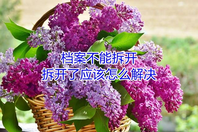 档案不能拆开，拆开了应该怎么解决