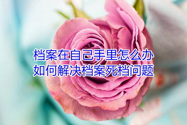 档案在自己手里怎么办，如何解决档案死档问题