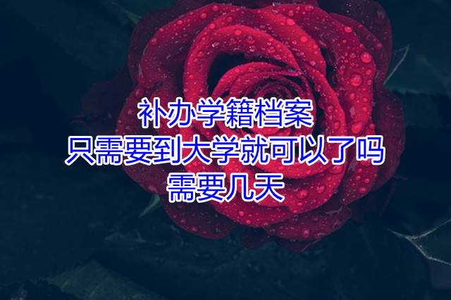 补办学籍档案只需要到大学就可以了吗，需要几天