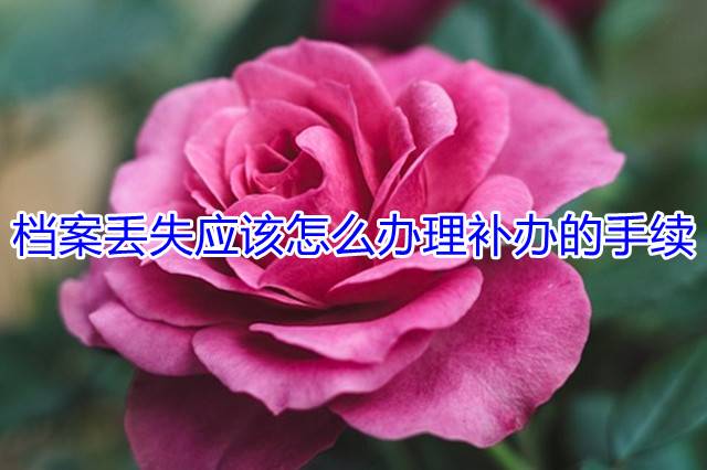 档案丢失应该怎么办理补办的手续