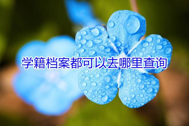 学籍档案都可以去哪里查询