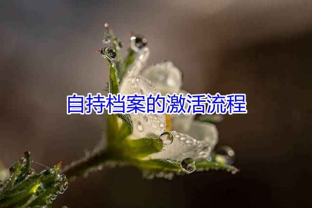 自持档案的激活流程