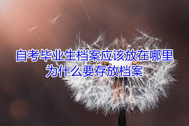 自考毕业生档案应该放在哪里，为什么要存放档案