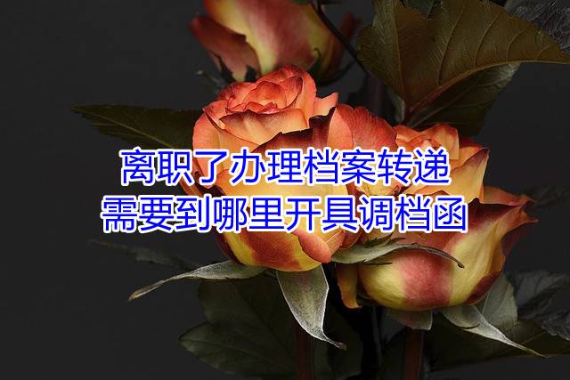 离职了办理档案转递需要到哪里开具调档函