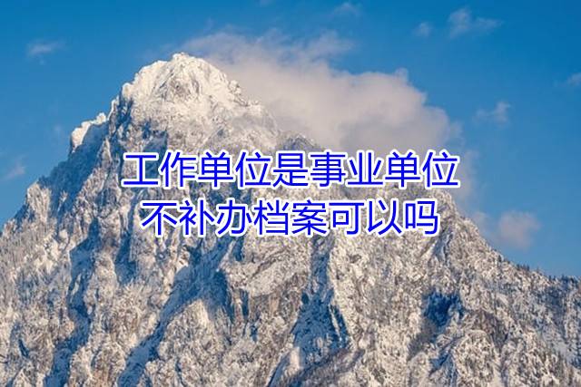 工作单位是事业单位，不补办档案可以吗