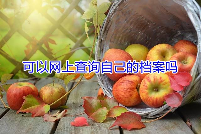 可以网上查询自己的档案吗