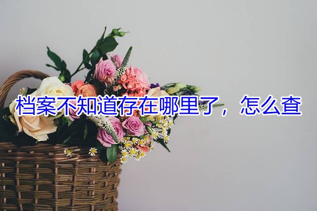 档案不知道存在哪里了，怎么查