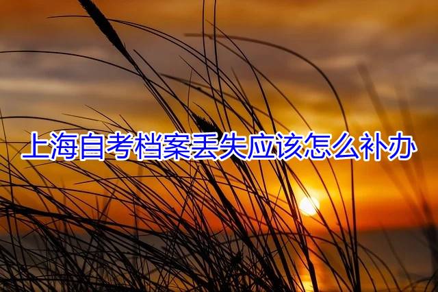 上海自考档案丢失应该怎么补办