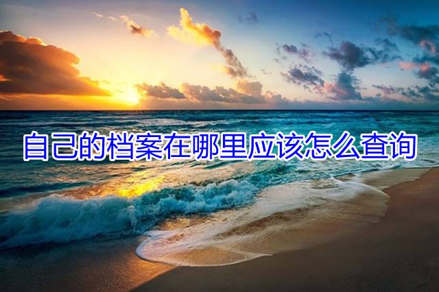 自己的档案在哪里应该怎么查询