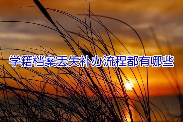 学籍档案丢失补办流程都有哪些