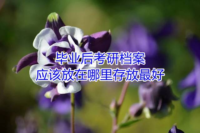 毕业后考研档案应该放在哪里存放最好