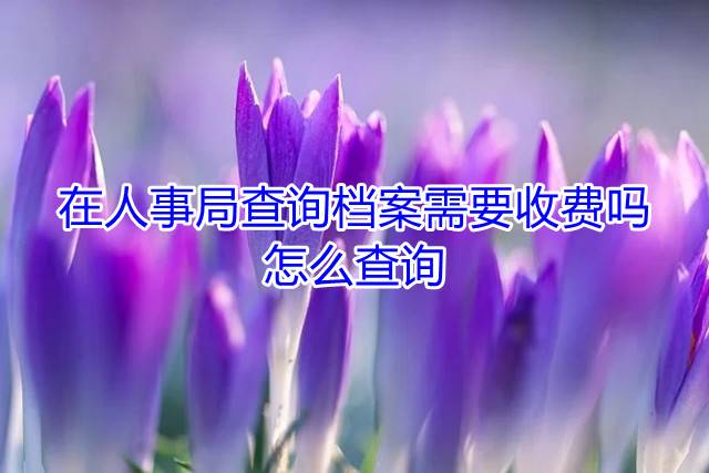 在人事局查询档案需要收费吗，怎么查询