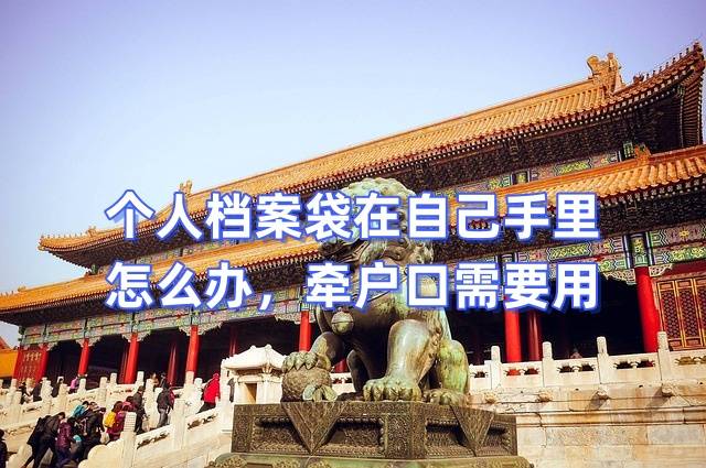 个人档案袋在自己手里怎么办，牵户口需要用