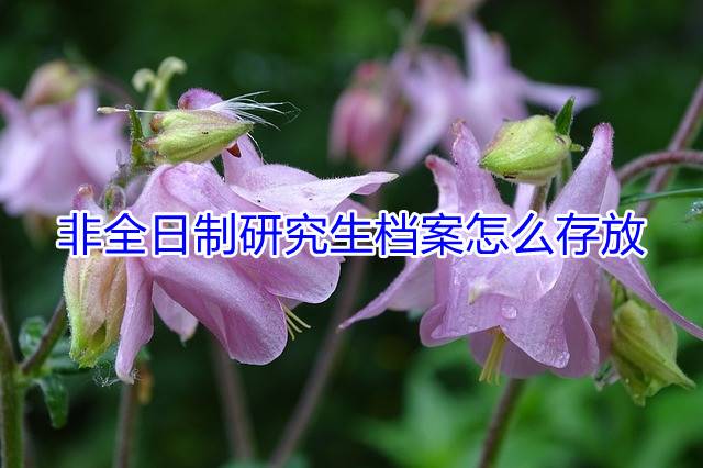 非全日制研究生档案怎么存放