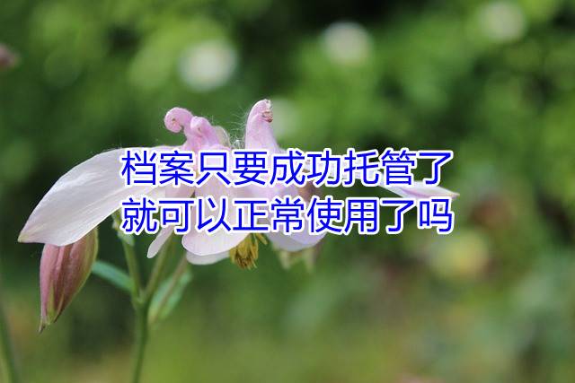 档案只要成功托管了就可以正常使用了吗